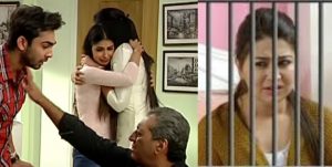 3Z9_PicMonkey_Collage